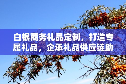 白银商务礼品定制，打造专属礼品，企承礼品供应链助力商务往来