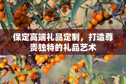 保定高端礼品定制，打造尊贵独特的礼品艺术